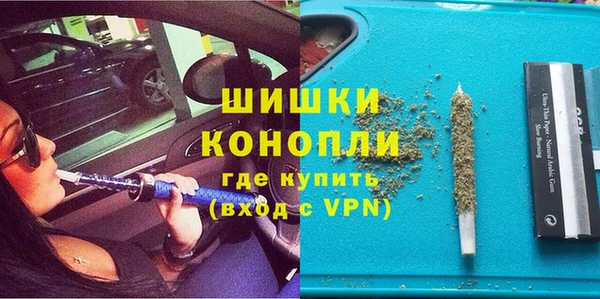 PSILOCYBIN Белоозёрский