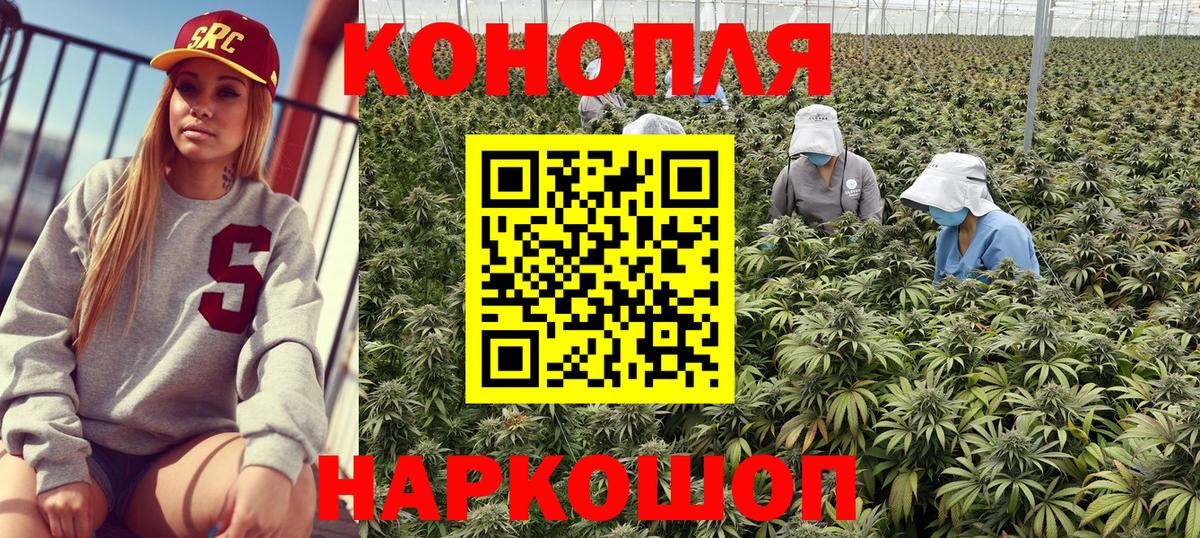 Бошки Шишки SATIVA & INDICA  Валуйки  Шишки марихуана Amnesia 